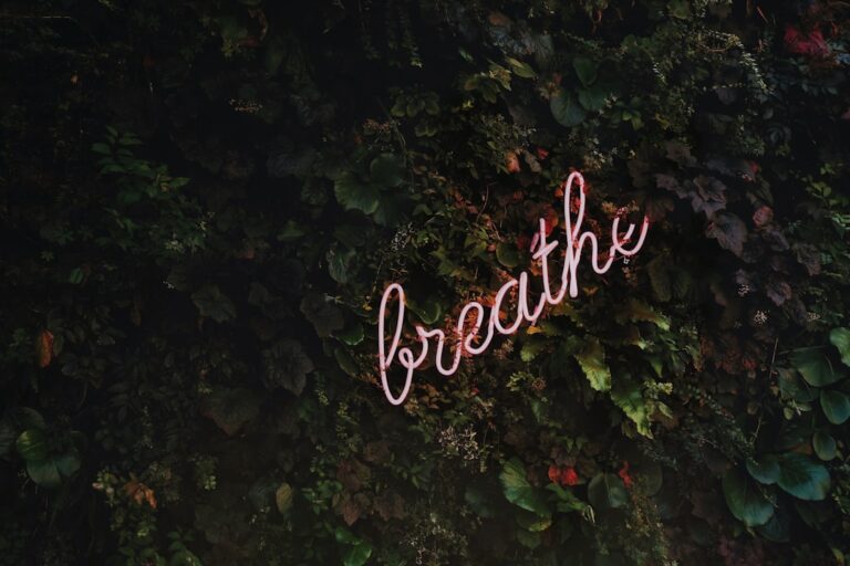 Mindfulness: El Arte de Vivir
