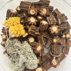 379972457_1007027117279130_9131055565742718274_n 379972457_1007027117279130_9131055565742718274_n